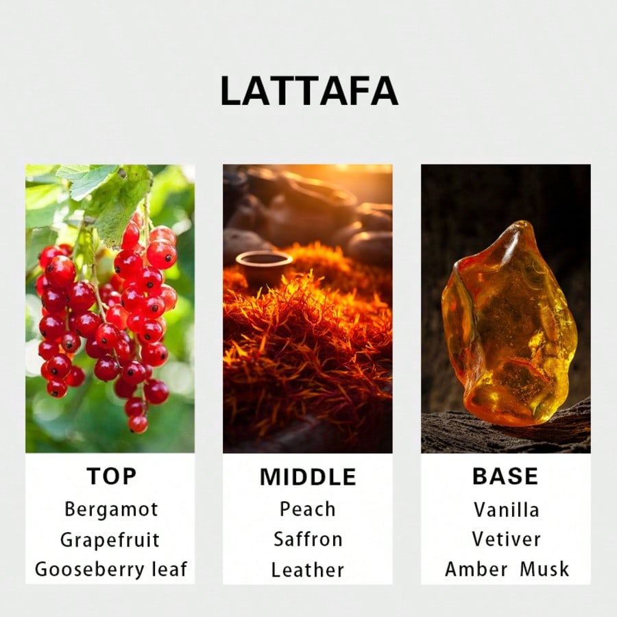 عطر هاياتي جولد إليكسير للرجال - مراجعة Perfume Fragrances وسعره